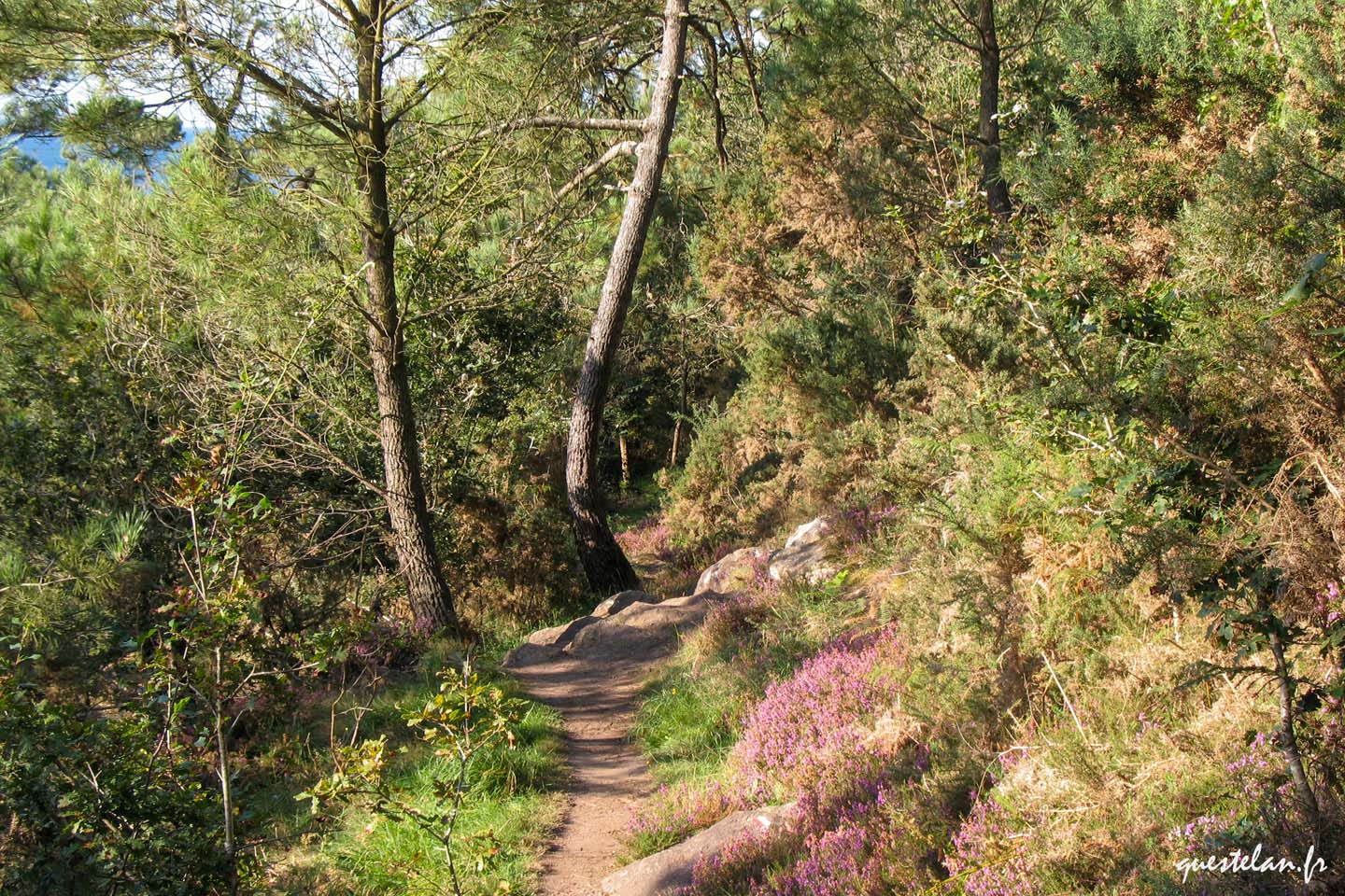 Le Bélon, chemin côtier