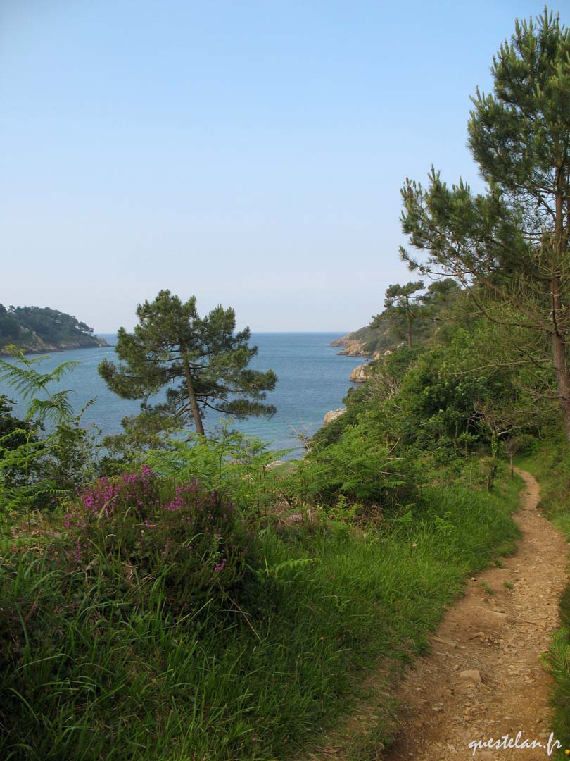 Le Bélon, chemin côtier