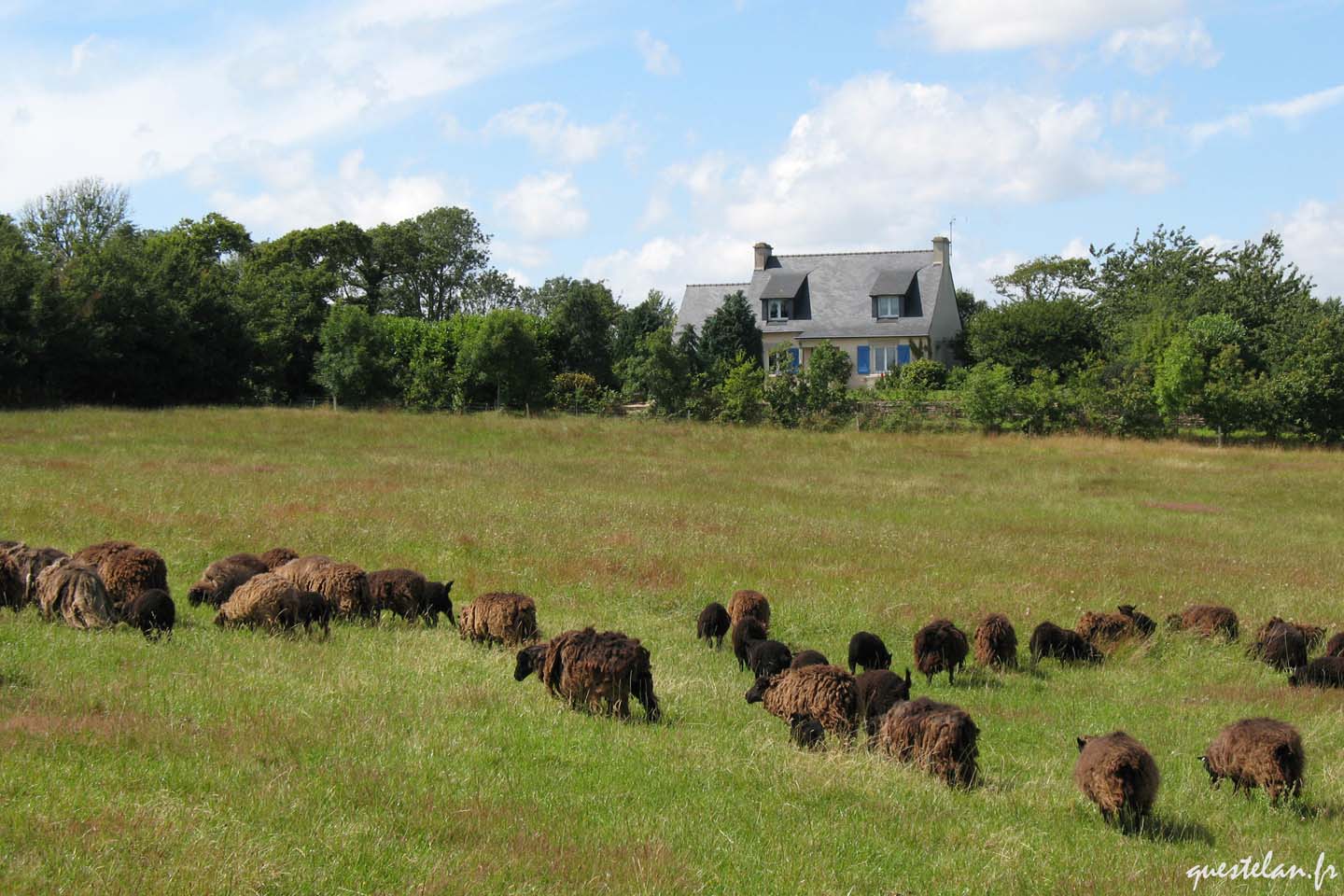 Le gîte de Questélan vu des prés