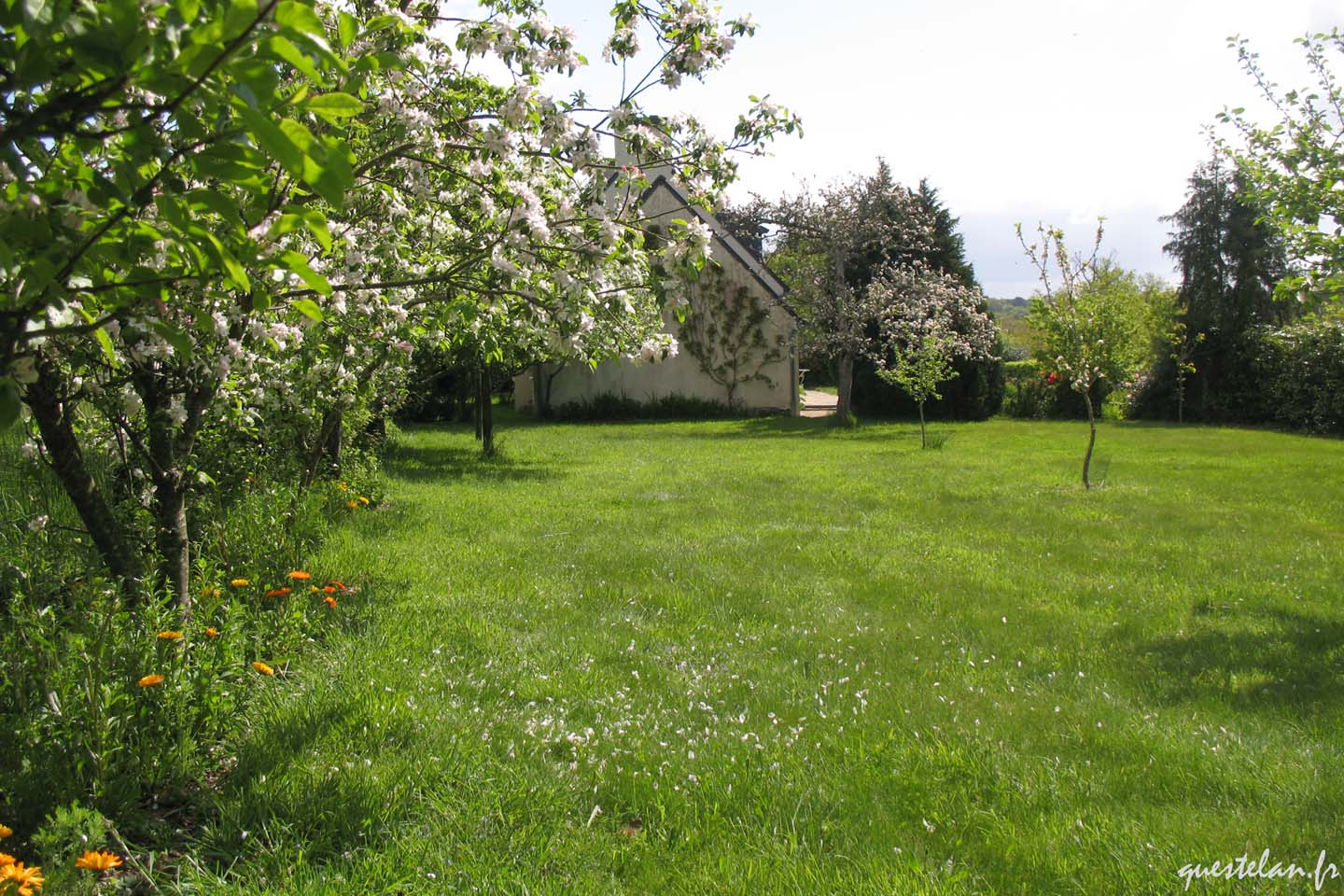 Gîte de Questélan. Le verger